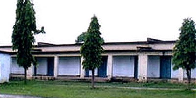 Institute